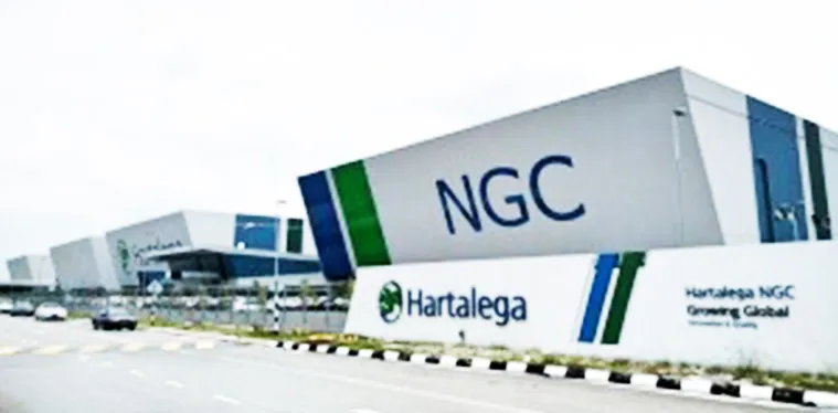 hartalega holdings berhad